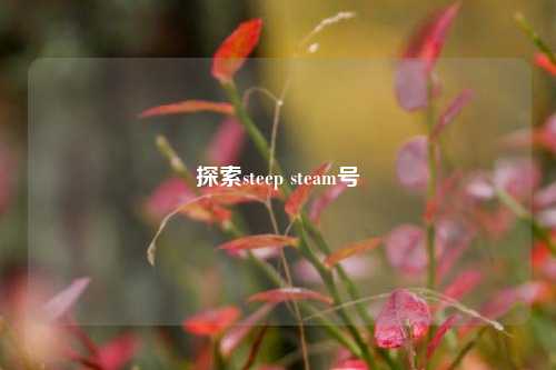 探索steep steam号