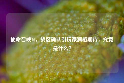 使命召唤16,战区确认引玩家满格期待,究竟是什么?