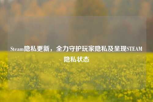 Steam隐私更新，全力守护玩家隐私及呈现STEAM隐私状态