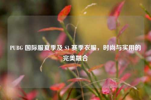 PUBG 国际服夏季及 S1 赛季衣服，时尚与实用的完美融合