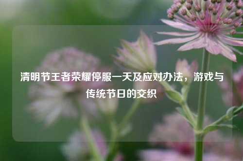 清明节王者荣耀停服一天及应对办法，游戏与传统节日的交织