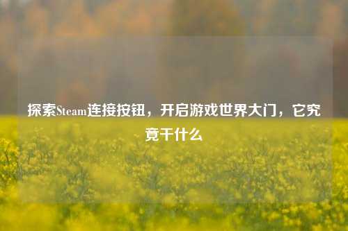 探索Steam连接按钮,开启游戏世界大门,它究竟干什么