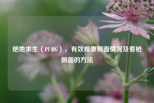 绝地求生(PUBG),有效观察侧面情况及看枪侧面的方法