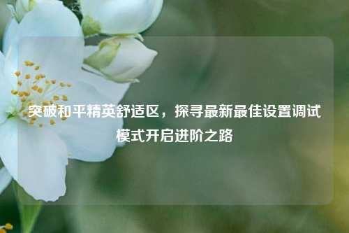 突破和平精英舒适区，探寻最新最佳设置调试模式开启进阶之路