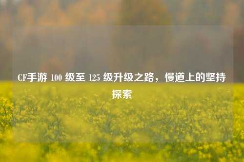 CF手游 100 级至 125 级升级之路,慢道上的坚持探索
