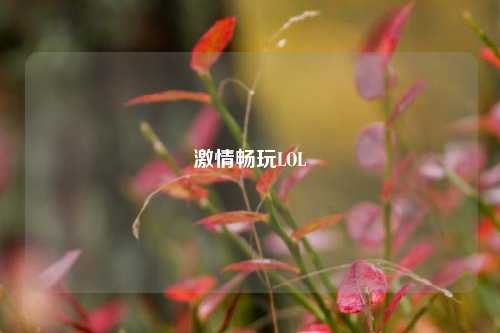 激情畅玩LOL