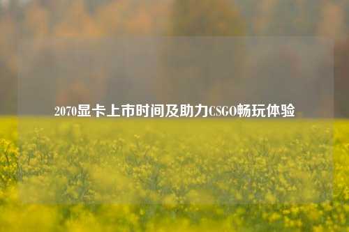 2070显卡上市时间及助力CSGO畅玩体验