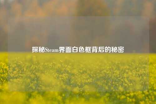 探秘Steam界面白色框背后的秘密