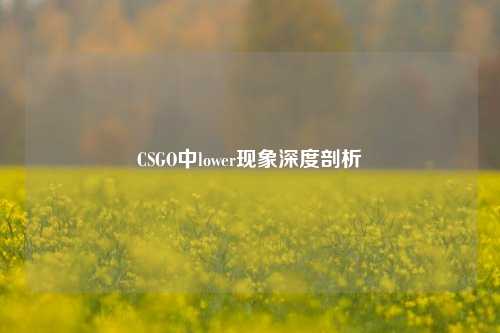 CSGO中lower现象深度剖析