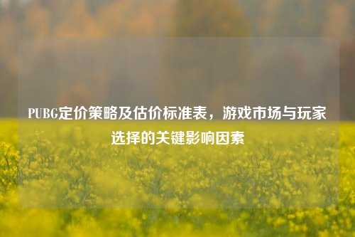 PUBG定价策略及估价标准表，游戏市场与玩家选择的关键影响因素