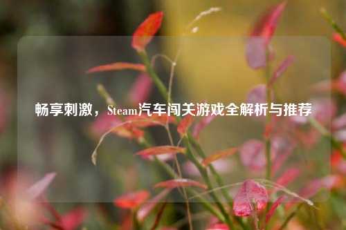 畅享刺激，Steam汽车闯关游戏全解析与推荐