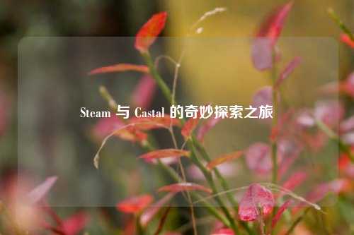 Steam 与 Castal 的奇妙探索之旅