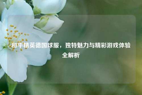 和平精英德国球服，独特魅力与精彩游戏体验全解析