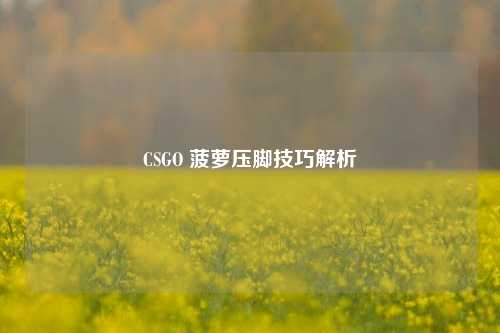 CSGO 菠萝压脚技巧解析
