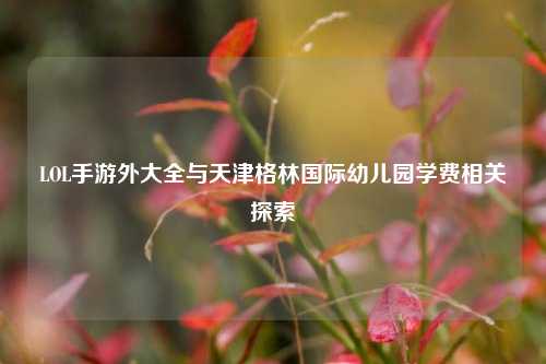 LOL手游外大全与天津格林国际幼儿园学费相关探索