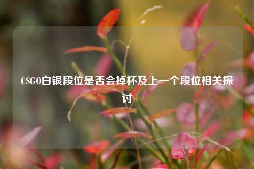 CSGO白银段位是否会掉杯及上一个段位相关探讨