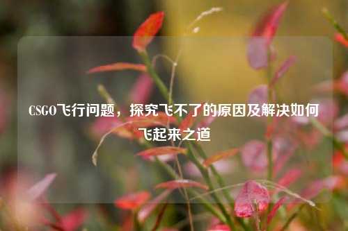 CSGO飞行问题，探究飞不了的原因及解决如何飞起来之道