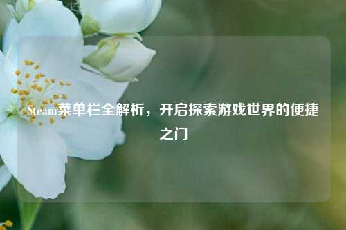 Steam菜单栏全解析，开启探索游戏世界的便捷之门