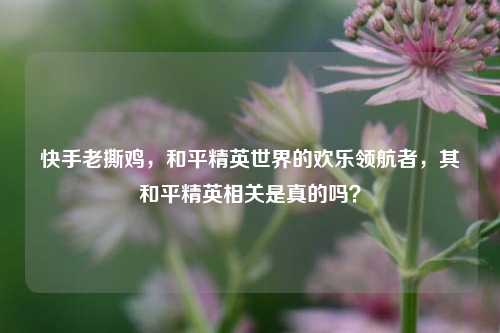 快手老撕鸡，和平精英世界的欢乐领航者，其和平精英相关是真的吗？