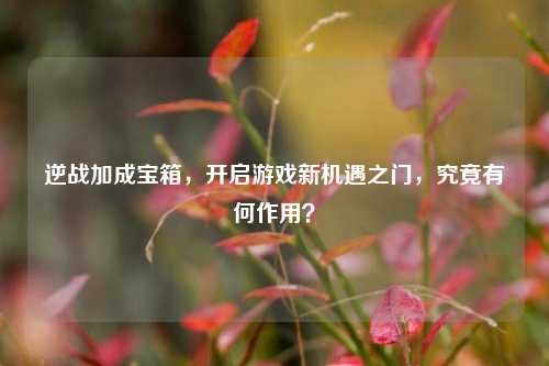 逆战加成宝箱，开启游戏新机遇之门，究竟有何作用？