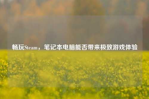 畅玩Steam，笔记本电脑能否带来极致游戏体验