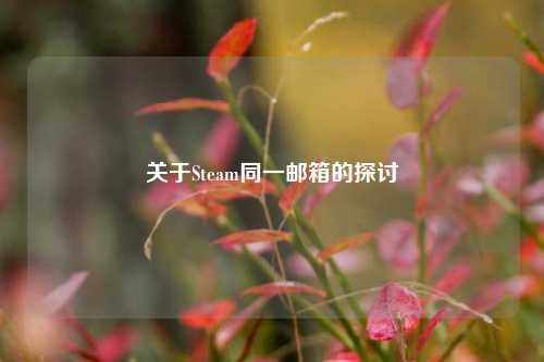 关于Steam同一邮箱的探讨