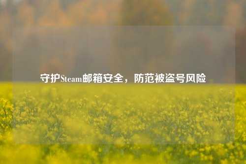 守护Steam邮箱安全,防范被盗号风险