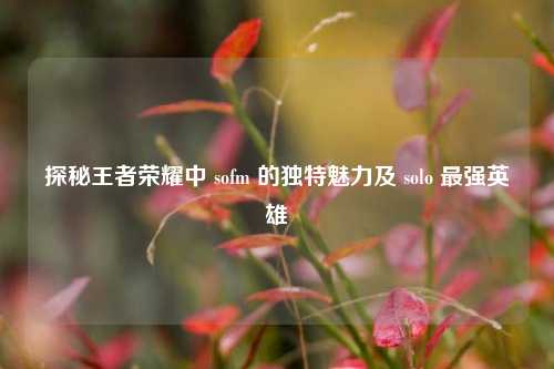 探秘王者荣耀中 sofm 的独特魅力及 solo 最强英雄
