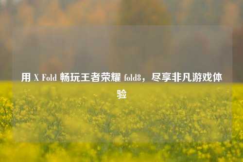 用 X Fold 畅玩王者荣耀 fold8，尽享非凡游戏体验