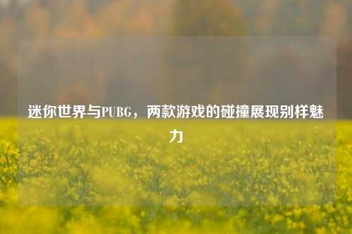 迷你世界与PUBG，两款游戏的碰撞展现别样魅力