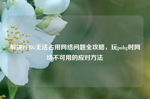 解决PUBG无法占用网络问题全攻略，玩pubg时网络不可用的应对方法