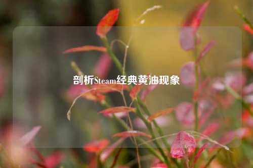 剖析Steam经典黄油现象