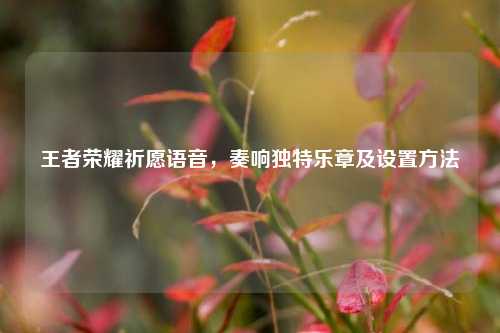 王者荣耀祈愿语音，奏响独特乐章及设置方法