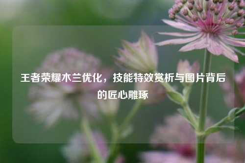王者荣耀木兰优化，技能特效赏析与图片背后的匠心雕琢