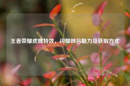 王者荣耀虎魄特效，闪耀峡谷魅力及获取方式