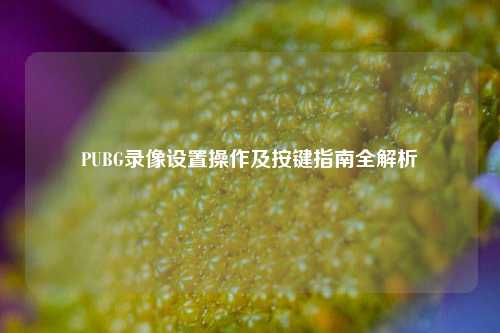 PUBG录像设置操作及按键指南全解析