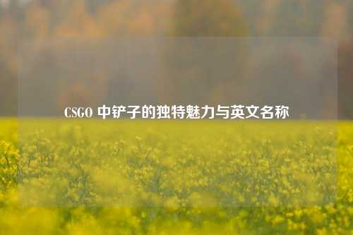 CSGO 中铲子的独特魅力与英文名称