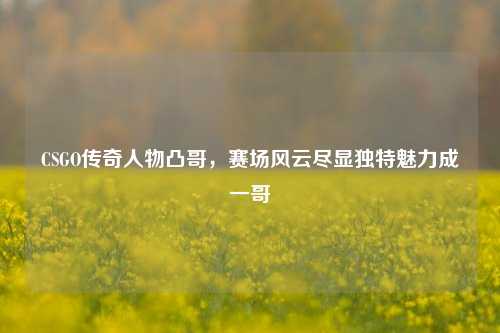 CSGO传奇人物凸哥，赛场风云尽显独特魅力成一哥
