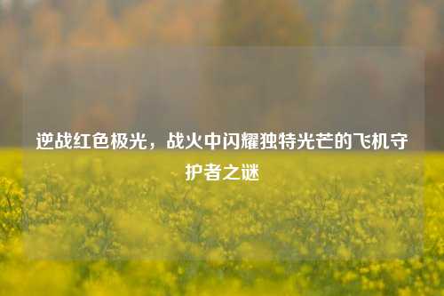 逆战红色极光，战火中闪耀独特光芒的飞机守护者之谜