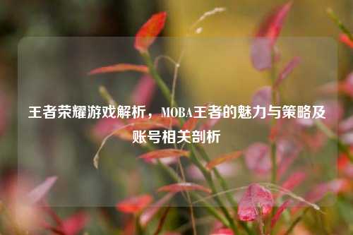 王者荣耀游戏解析，MOBA王者的魅力与策略及账号相关剖析