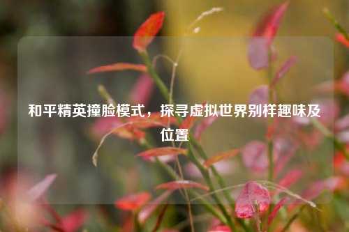 和平精英撞脸模式，探寻虚拟世界别样趣味及位置