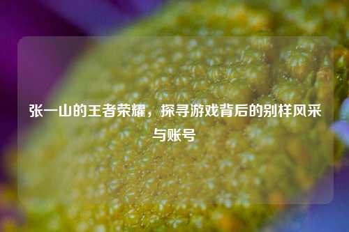张一山的王者荣耀，探寻游戏背后的别样风采与账号
