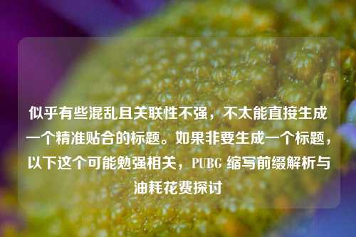 似乎有些混乱且关联性不强，不太能直接生成一个精准贴合的标题。如果非要生成一个标题，以下这个可能勉强相关，PUBG 缩写前缀解析与油耗花费探讨