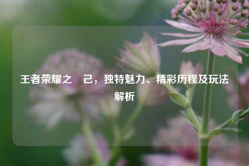 王者荣耀之姮己,独特魅力、精彩历程及玩法解析