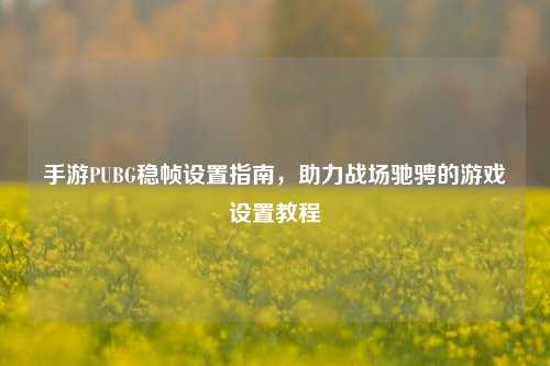 手游PUBG稳帧设置指南，助力战场驰骋的游戏设置教程