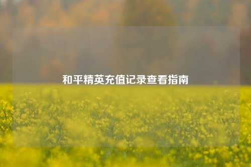 和平精英充值记录查看指南