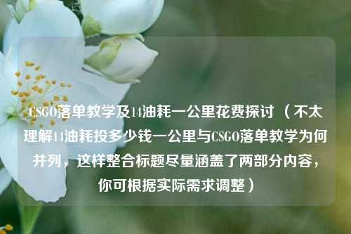 CSGO落单教学及14油耗一公里花费探讨 （不太理解14油耗投多少钱一公里与CSGO落单教学为何并列，这样整合标题尽量涵盖了两部分内容，你可根据实际需求调整）