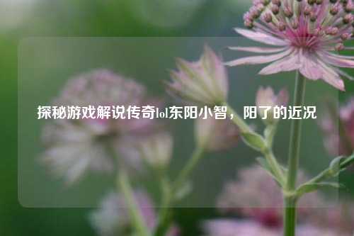 探秘游戏解说传奇lol东阳小智,阳了的近况