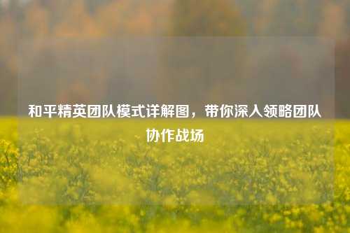 和平精英团队模式详解图,带你深入领略团队协作战场