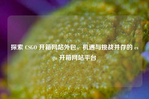 探索 CSGO 开箱网站外包，机遇与挑战并存的 csgo 开箱网站平台
